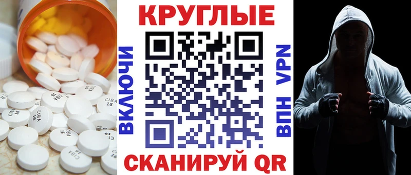 Ecstasy Philipp Plein Купить Тайга