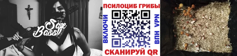 Галлюциногенные грибы GOLDEN TEACHER  Купить где  Тайга 